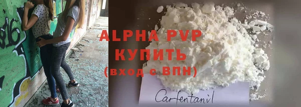 стаф Белоозёрский