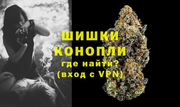 стафф Белокуриха