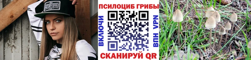 мега онион Шуя Галлюциногенные грибы Psilocybine cubensis