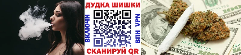 Каннабис ГИДРОПОН  купить наркоту  Шуя 